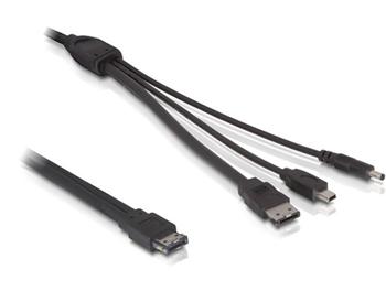DeLock kabel eSATAp na eSATA/mini USB/DC-5V 1m