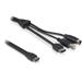 DeLock kabel eSATAp na eSATA/USB-B/MD4-12V 1m