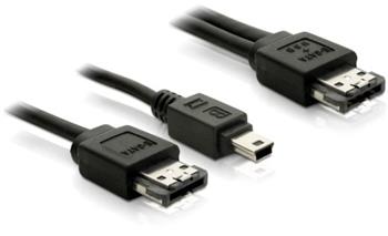 DeLock kabel Power eSATA (eSATAp) samec na eSATA+mini USB samec 1m