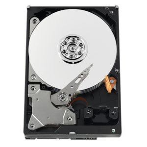WD CAVIAR AV GREEN WD2500AVVS 250GB SATA/300, 16MB cache, Low Noise