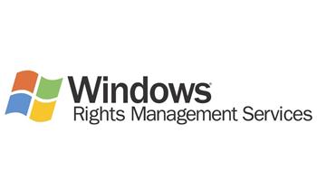 Elektronická licence: Microsoft CSP Windows Rights Management Services CAL 2022 1 user CAL předplatné 1 rok