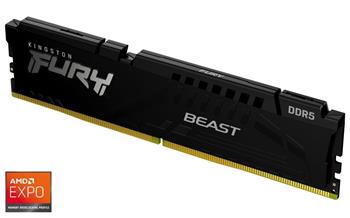 Kingston FURY Beast EXPO/DDR5/8GB/5200MHz/CL36/1x8GB/Black