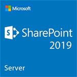 Microsoft CSP SharePoint Server 2019 1 User CAL - trvalá licence