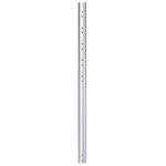 Neomounts  FPMA-CP100 / 100 cm extension pole for FPMA-C200/C400SILVER/PLASMA-C100 / Silver