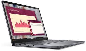 Dell Pro 14/PC14255/R5-220/14"/WUXGA/8GB/256GB/AMD int/W11P/Gray/3R NBD